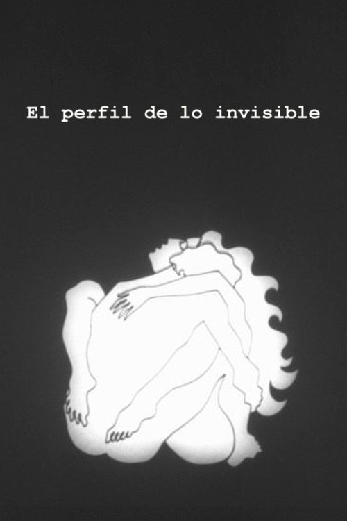 Afiche de El Perfil de lo Invisible