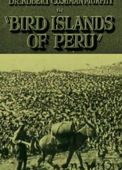 Afiche de Bird Islands of Peru