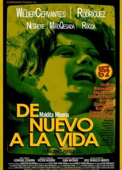 Afiche de De nuevo a la vida