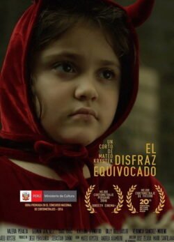 Afiche de El disfraz equivocado