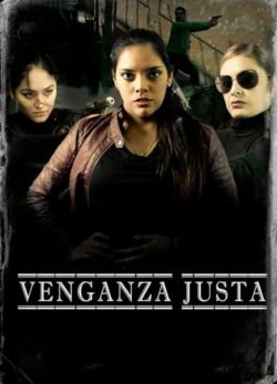 Afiche de Venganza Justa