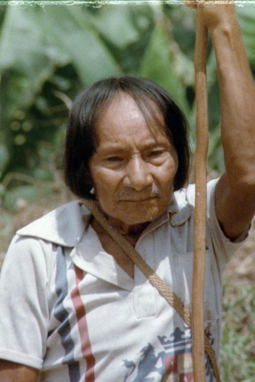 Afiche de En la tierra de los Awuajunti