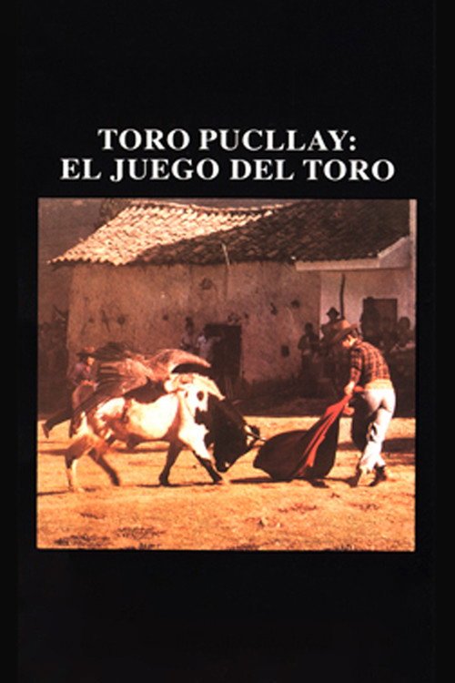 Afiche de Toro Pucllay