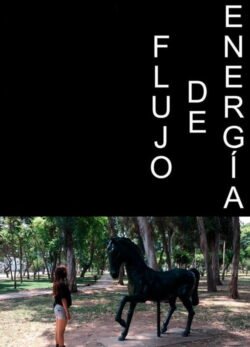 Afiche de Flujo de Energía