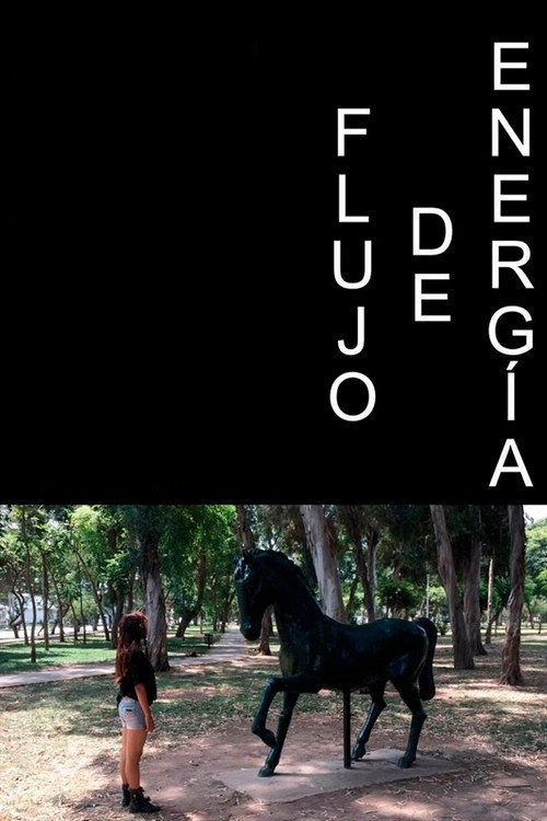 Afiche de Flujo de Energía
