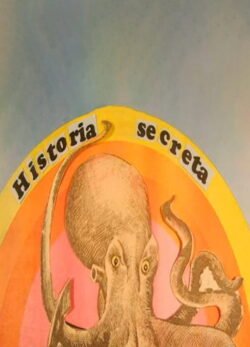 Afiche de Historia secreta