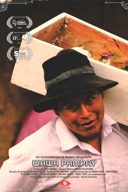 Afiche de Wawa Pampay