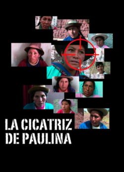 Afiche de La cicatriz de Paulina