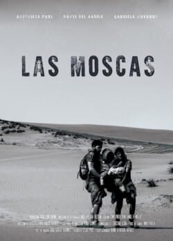 Afiche de Las moscas
