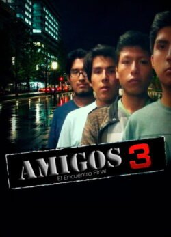 Afiche de Amigos 3: El Encuentro Final