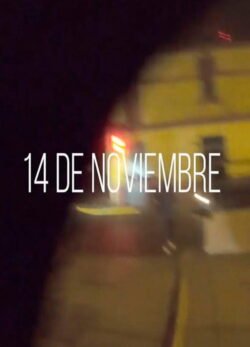 Afiche de 14 de noviembre