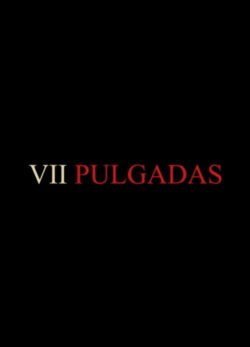 Afiche de VII Pulgadas