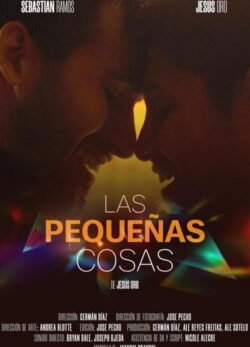 Afiche de Las pequeñas cosas