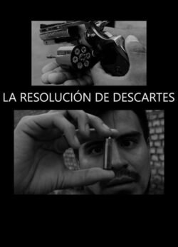 Afiche de La Resolución de Descartes