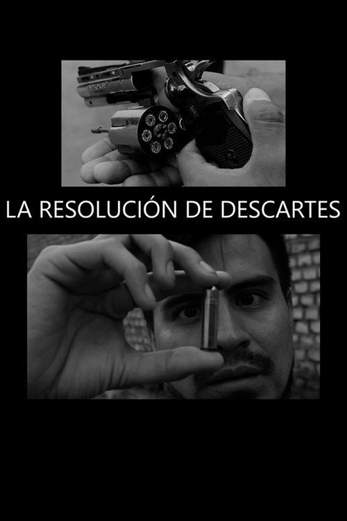 Afiche de La Resolución de Descartes