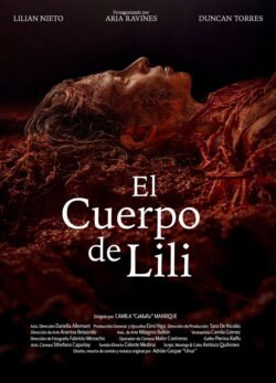 Afiche de El cuerpo de Lili
