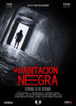 Afiche de La habitación negra
