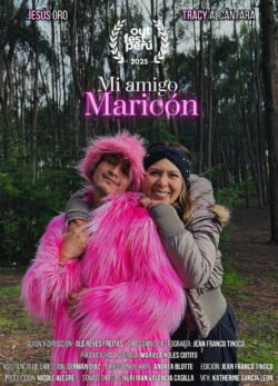 Afiche de Mi amigo maricón