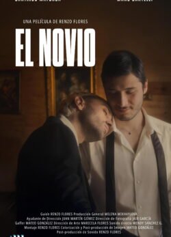 Afiche de El novio